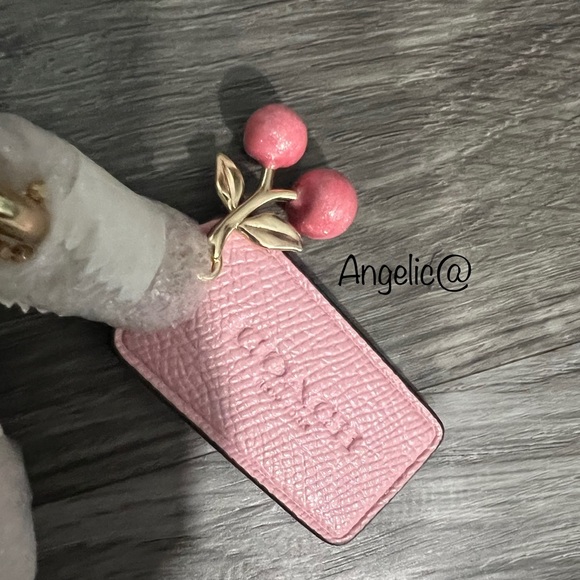 NWT Coach Heart Crossbody In Signature Canvas With Heart Cherry Print - Picture 4 of 13